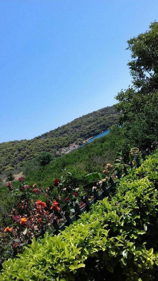 Epidaurus Hotel Marialena מראה חיצוני תמונה
