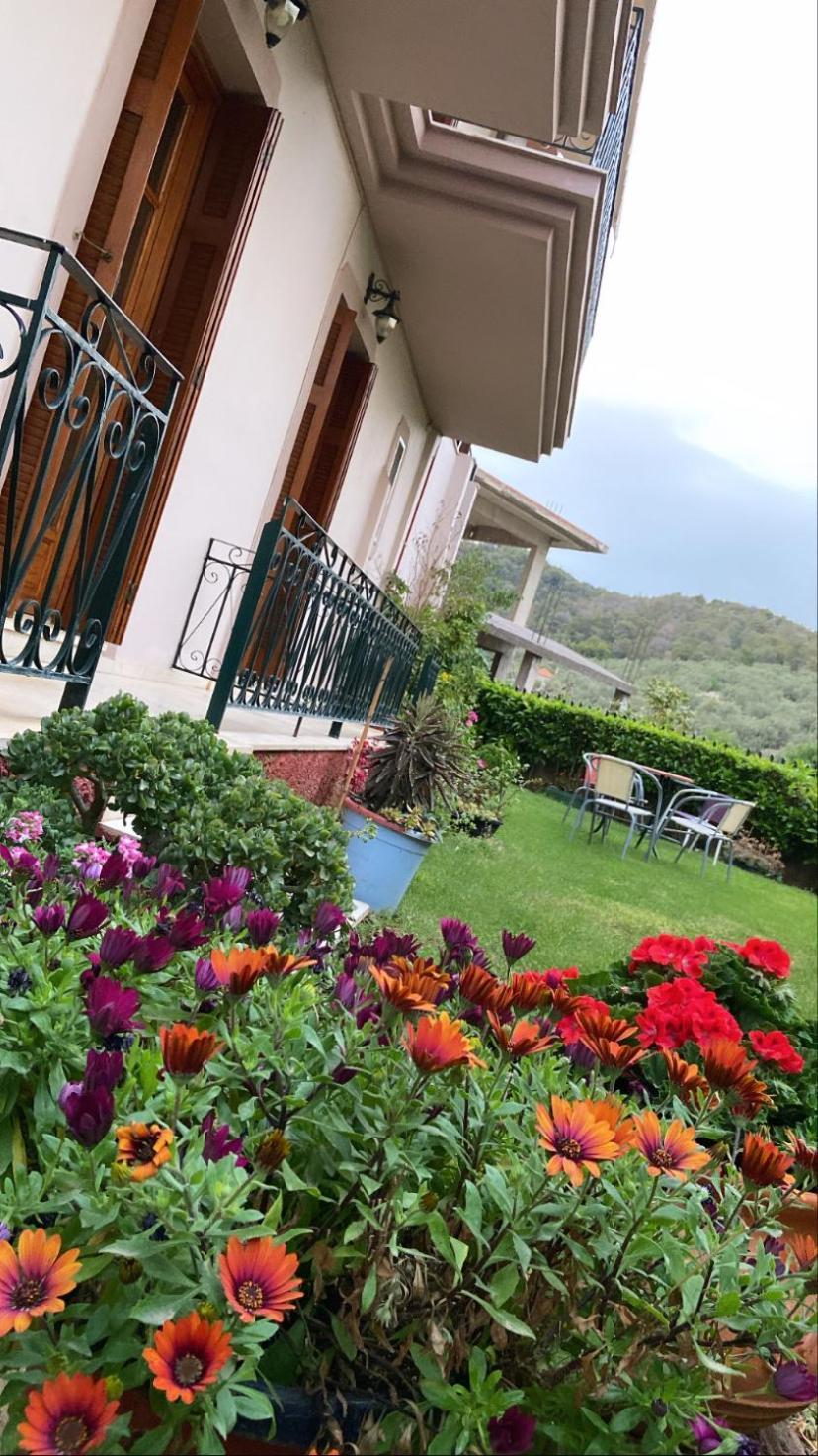 Epidaurus Hotel Marialena מראה חיצוני תמונה